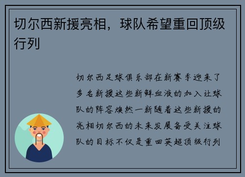 切尔西新援亮相，球队希望重回顶级行列