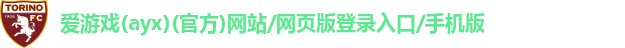 爱游戏(ayx)(官方)网站/网页版登录入口/手机版